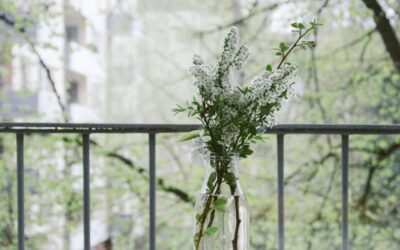 ¿En qué consiste el diseño de una casa saludable?