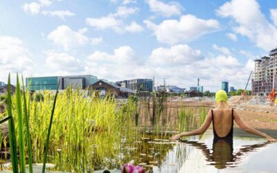 Los beneficios de las piscinas naturales