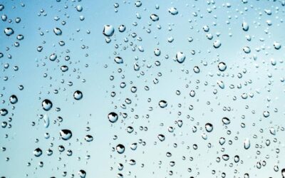 Humedad relativa: ¿alta o baja?