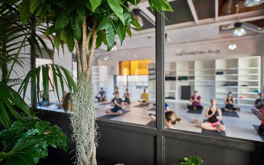 Gimnasio YogaOne by DIR en Terrassa