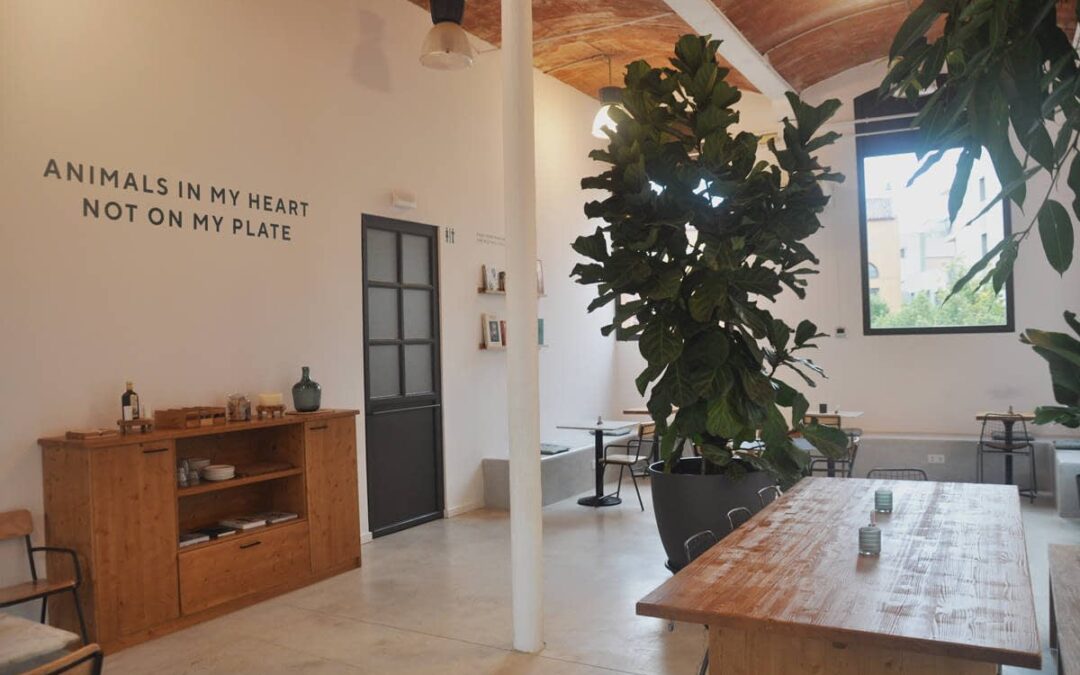 Green&Burger en Terrassa